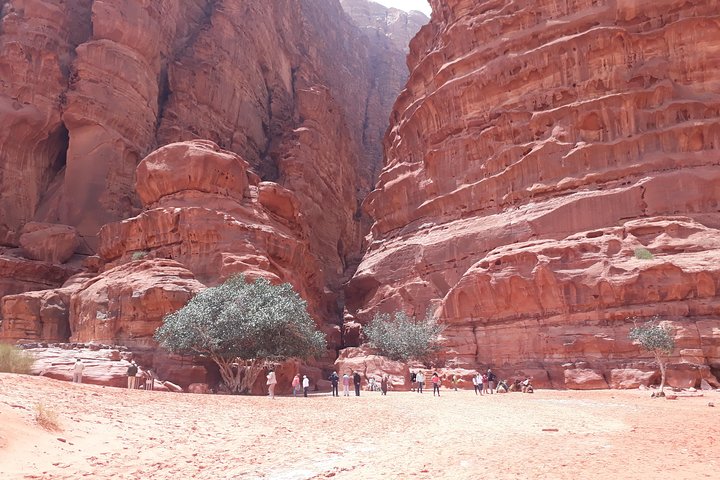 3 Days best of Jordan (Group tour with guide)