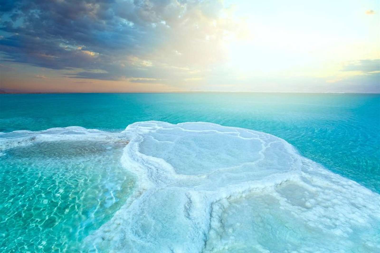 Petra & Dead Sea 1 Day Private tour (Lunch included)